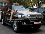   . Toyota Land Cruiser200 NEW